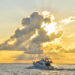 T-avanta_Transportation_53